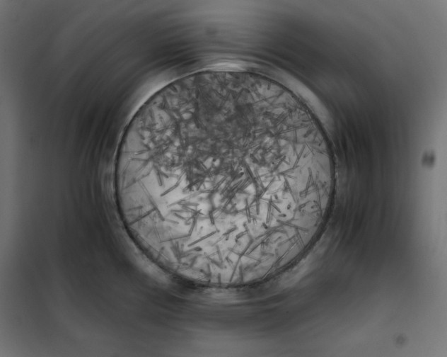 X0000101391194200807280931