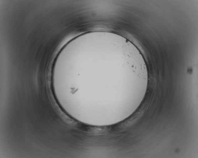 X0000101391195200807280930