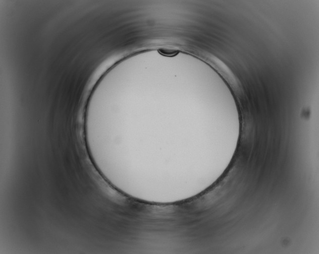 X0000101391196200807280930