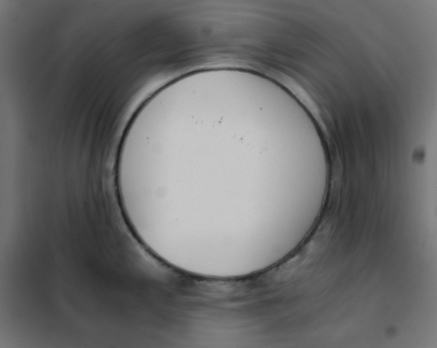 X0000101391197200807280930