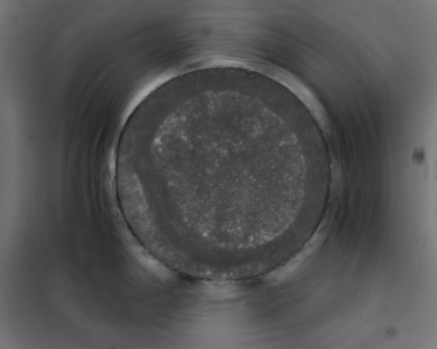 X0000101391198200807280930