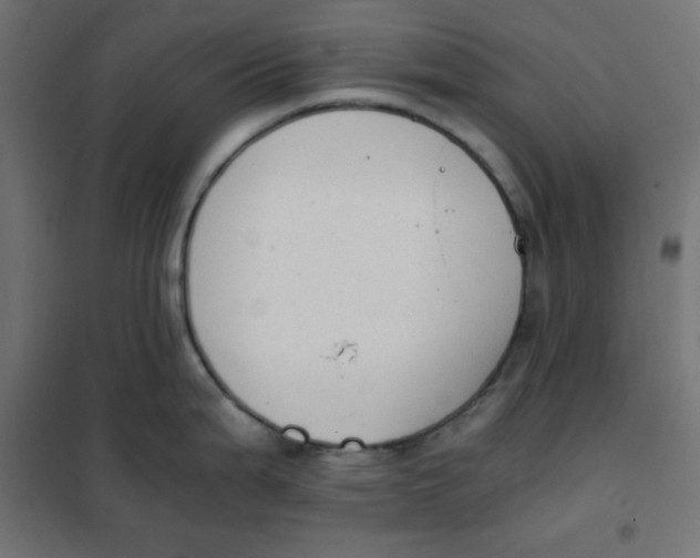 X0000101391199200807280930