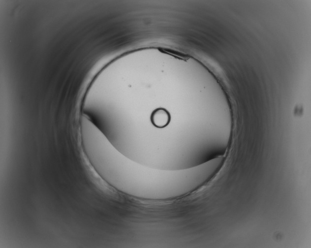 X0000101391200200807280930