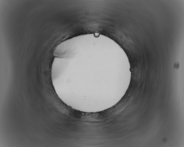 X0000101391201200807280930