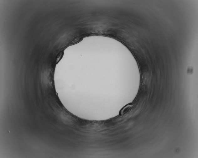 X0000101391202200807280930