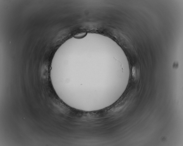 X0000101391203200807280930