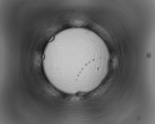 X0000101391204200807280930