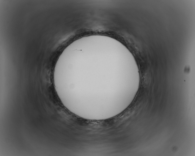 X0000101391205200807280930