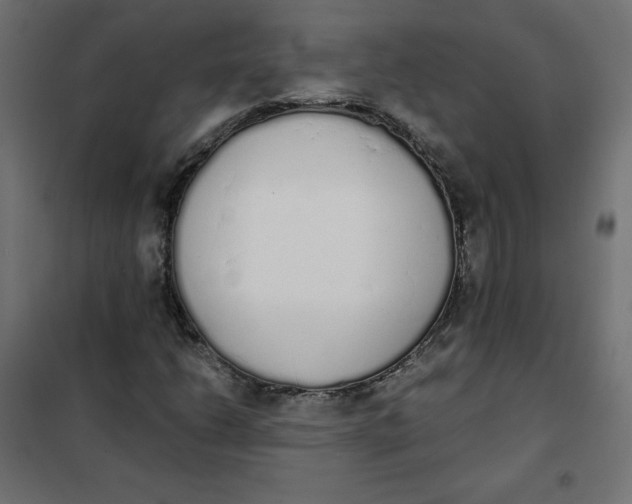 X0000101391206200807280930