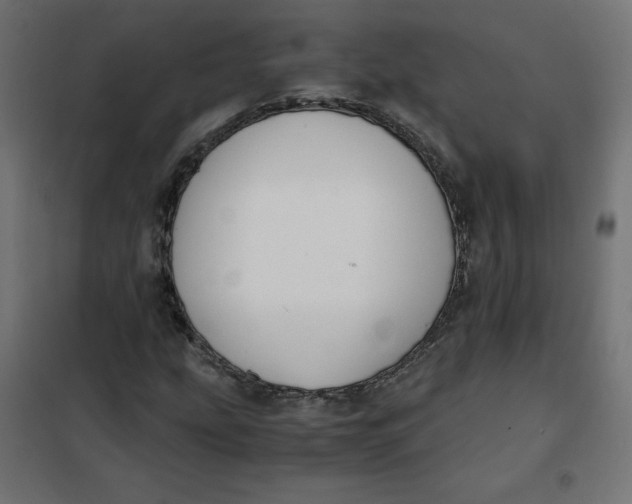 X0000101391207200807280930