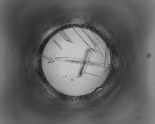 X0000101391208200807280930