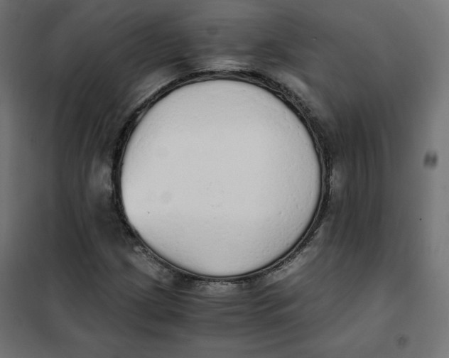 X0000101391209200807280930