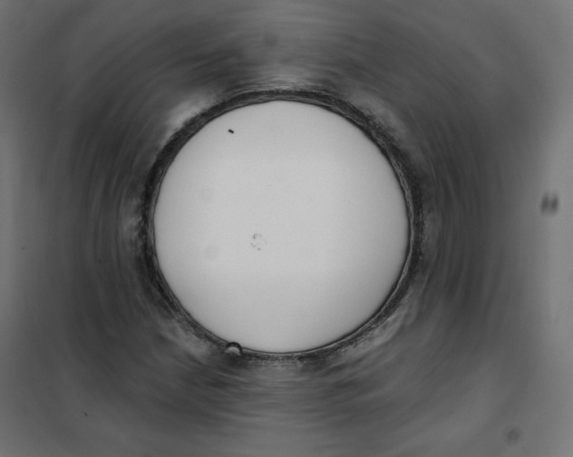 X0000101391210200807280930