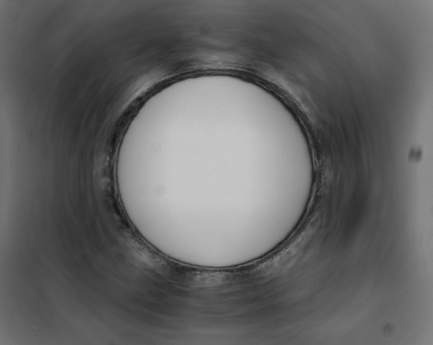 X0000101391211200807280930