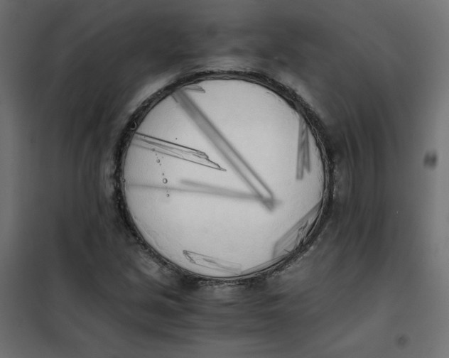 X0000101391213200807280930