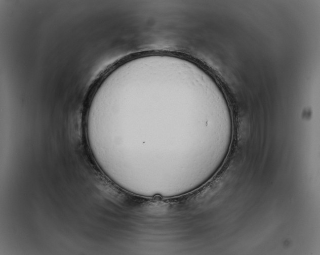 X0000101391214200807280930