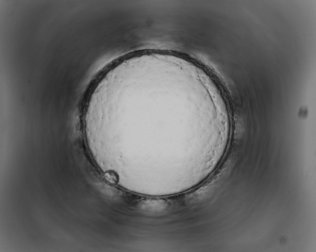 X0000101391215200807280930