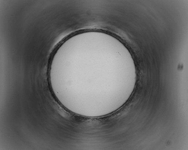 X0000101391216200807280930