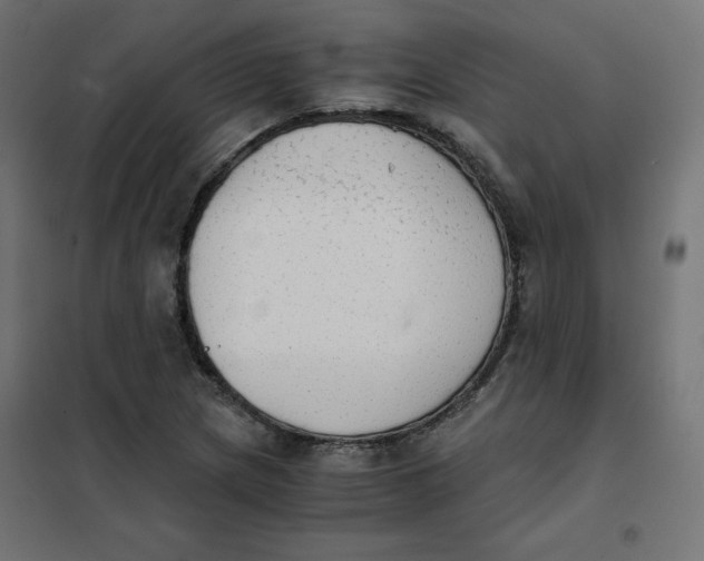 X0000101391217200807280930