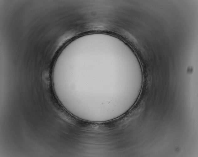 X0000101391218200807280930