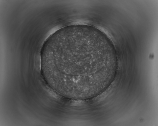 X0000101391219200807280930