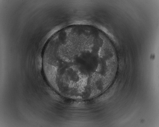 X0000101391221200807280930