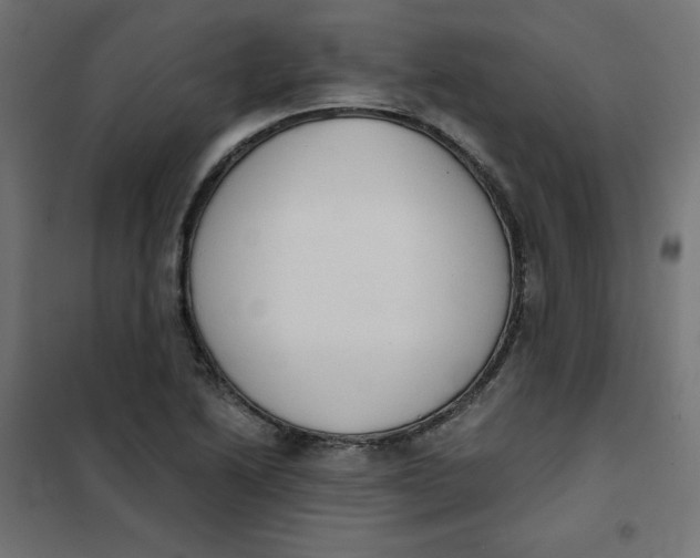 X0000101391222200807280930