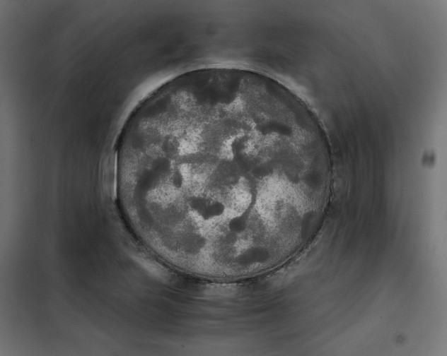 X0000101391223200807280930