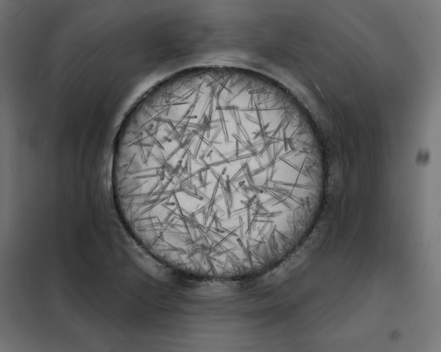 X0000101391224200807280930