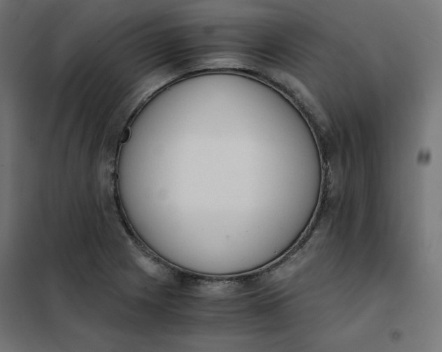 X0000101391225200807280930