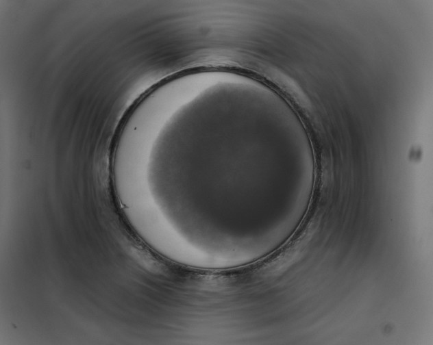 X0000101391226200807280930