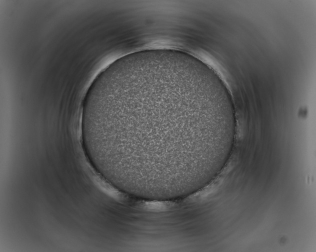 X0000101391227200807280930