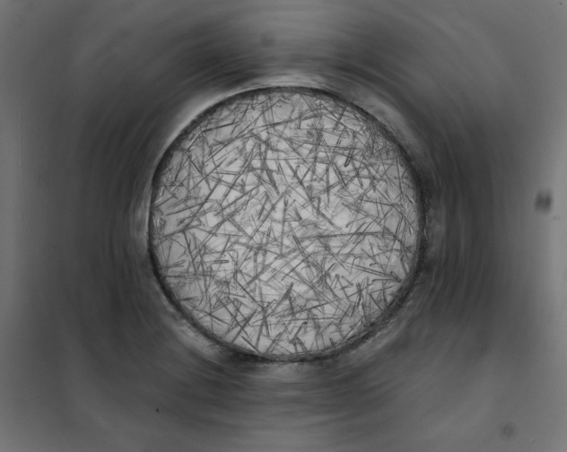 X0000101391228200807280930