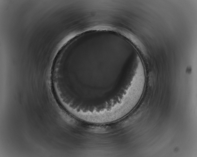 X0000101391229200807280930