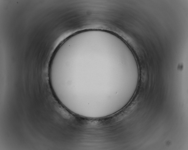 X0000101391230200807280930