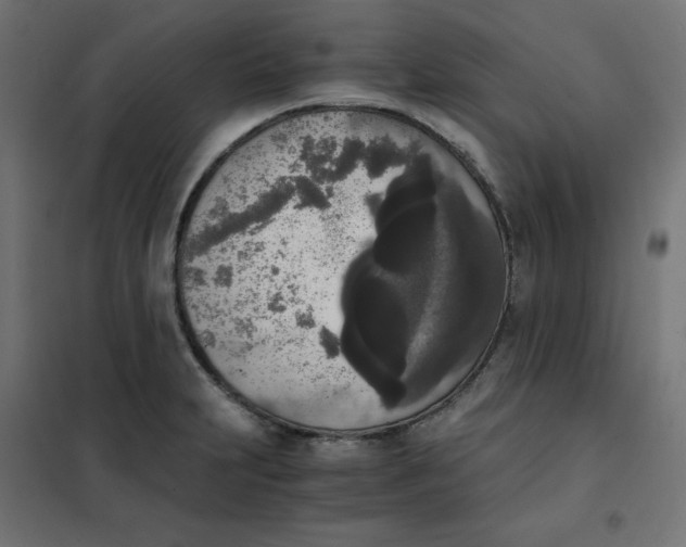 X0000101391231200807280930