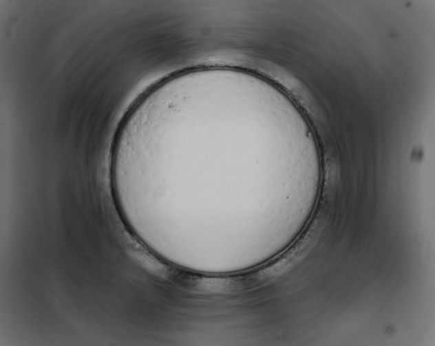 X0000101391232200807280930