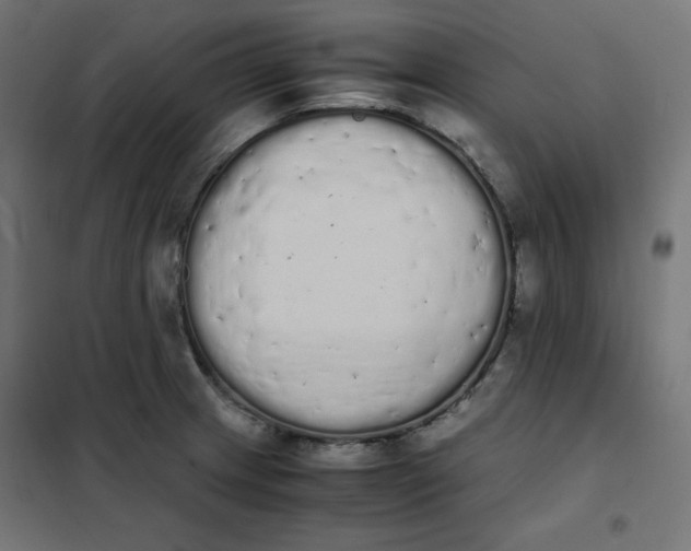 X0000101391233200807280930