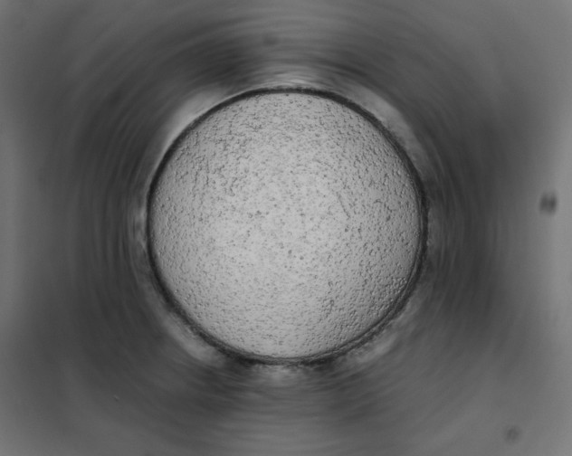 X0000101391234200807280930