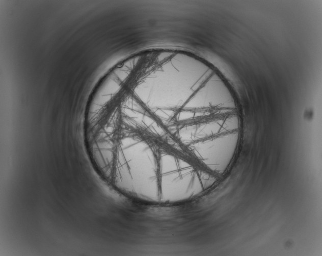 X0000101391237200807280930