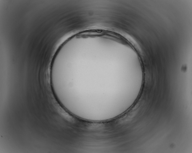 X0000101391238200807280930