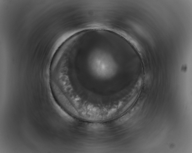 X0000101391239200807280930