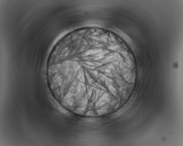 X0000101391240200807280930