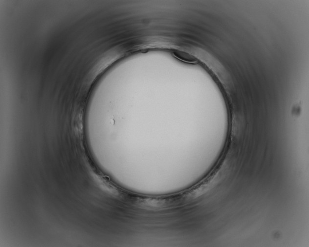 X0000101391241200807280930