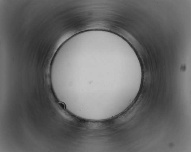 X0000101391242200807280930