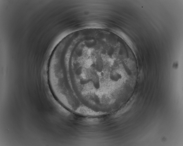 X0000101391243200807280930