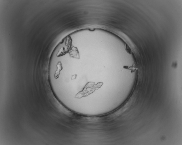 X0000101391244200807280930