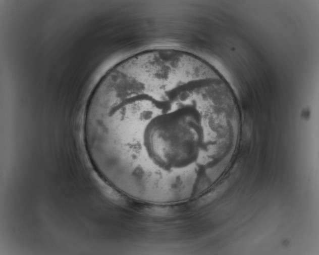 X0000101391245200807280930