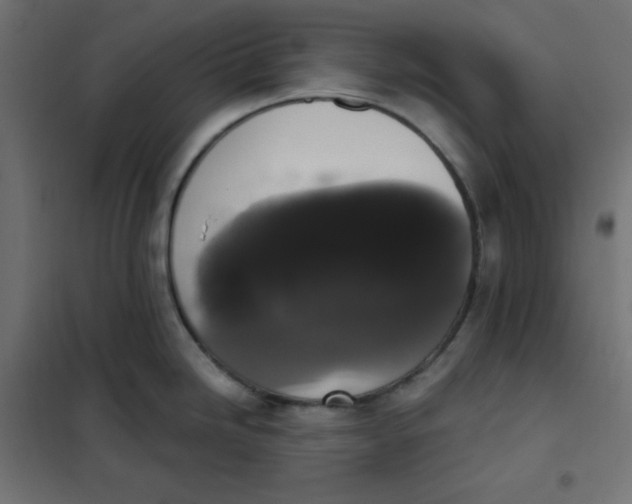 X0000101391246200807280930