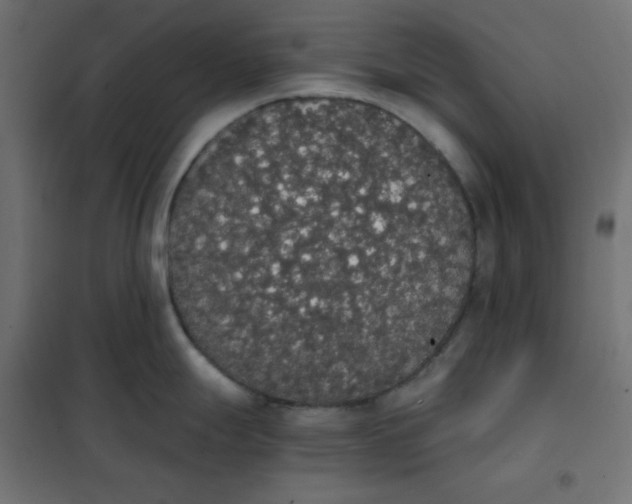 X0000101391247200807280930